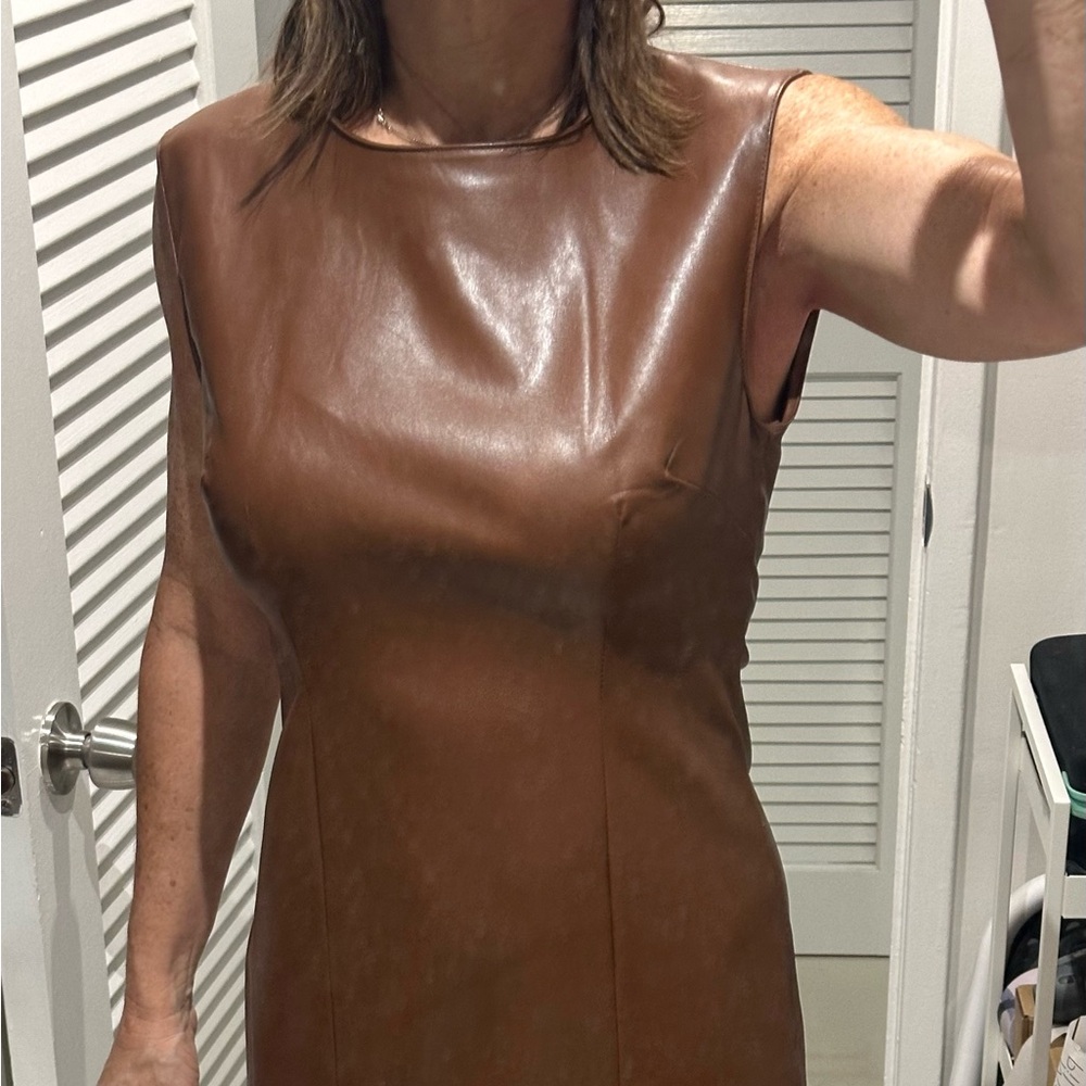 Zara “leather” Midi Dress